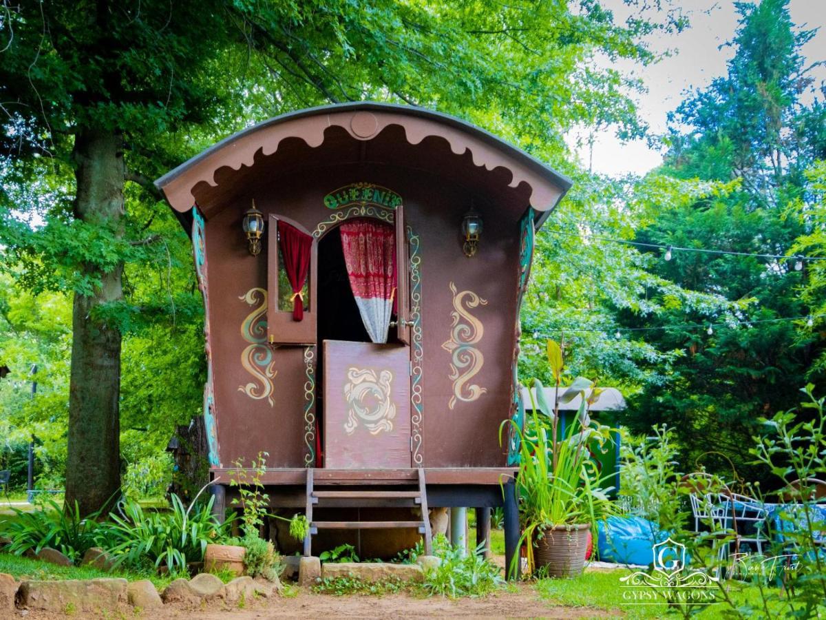 Gypsy Wagons And Vans, 克拉伦斯 客房 照片